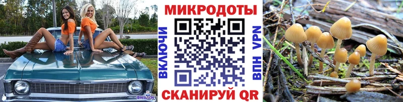 Галлюциногенные грибы Cubensis  Орск 